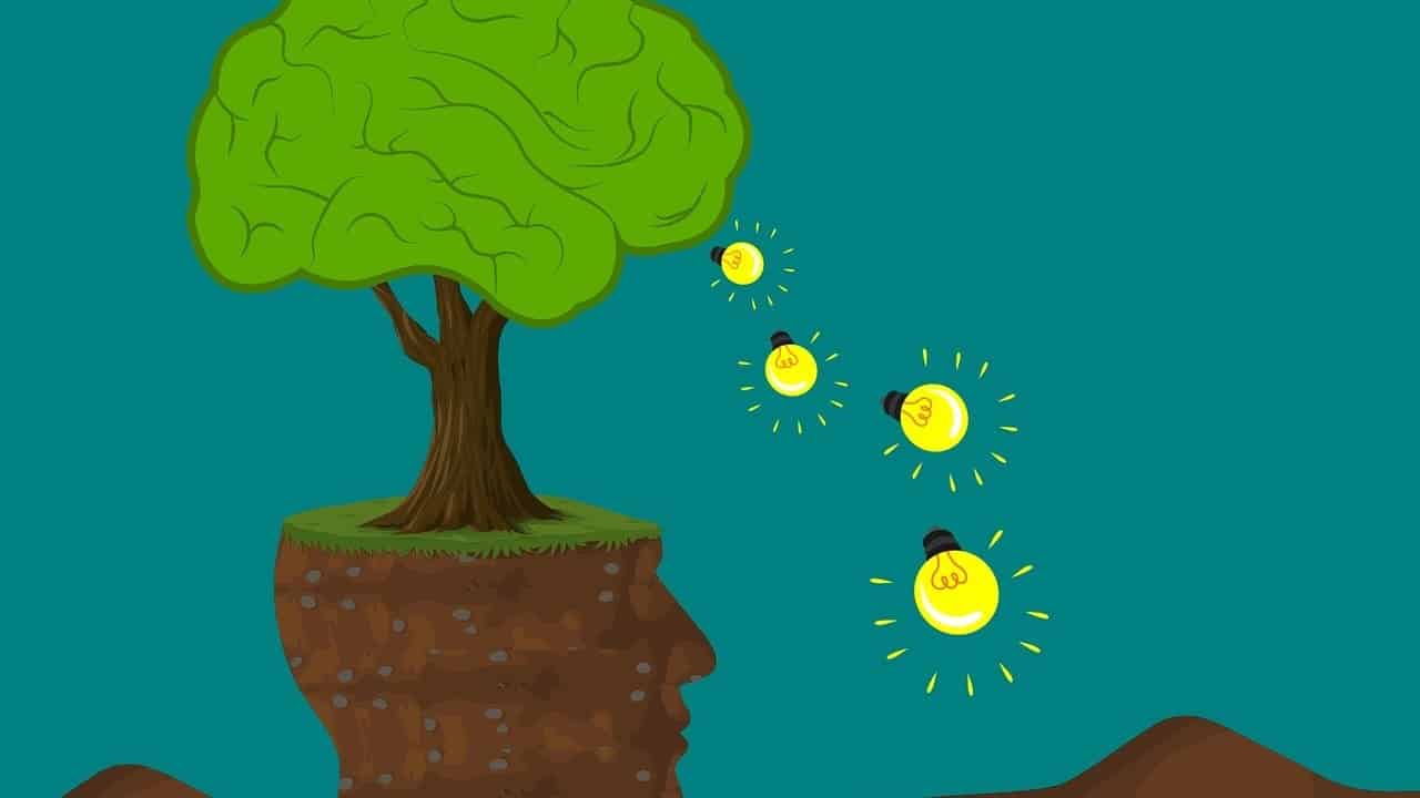 What Is A WIC In A House?